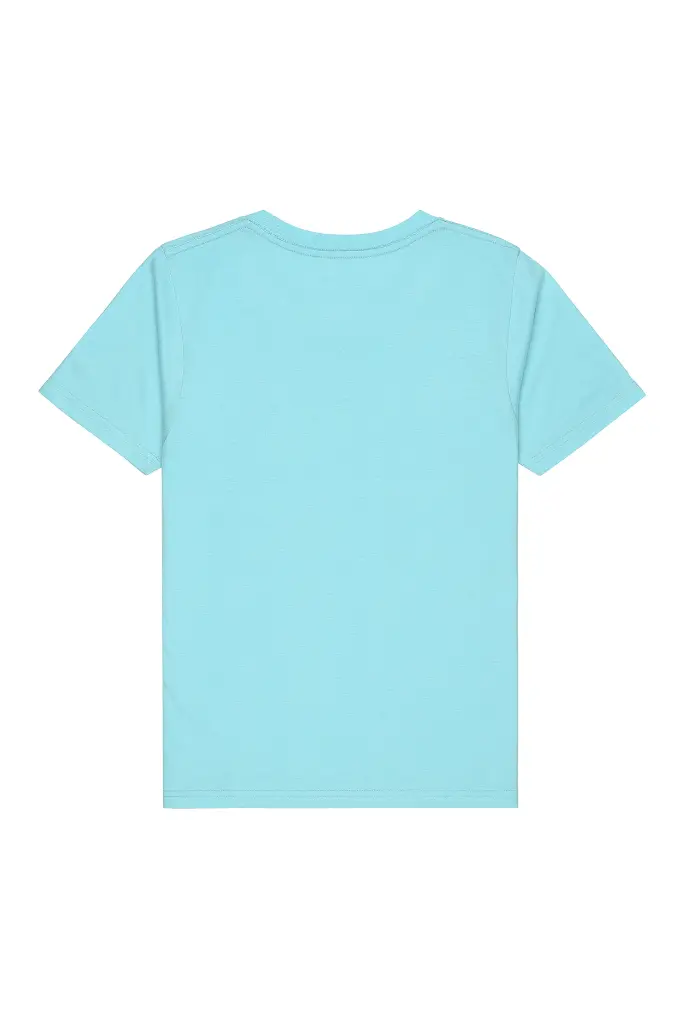 500-mint-12.webp